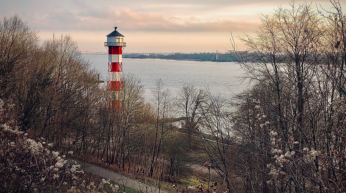 Wittenbergener Heide