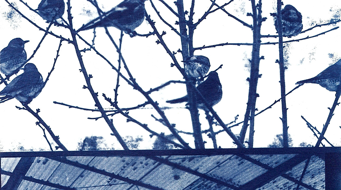 blauesglueck013