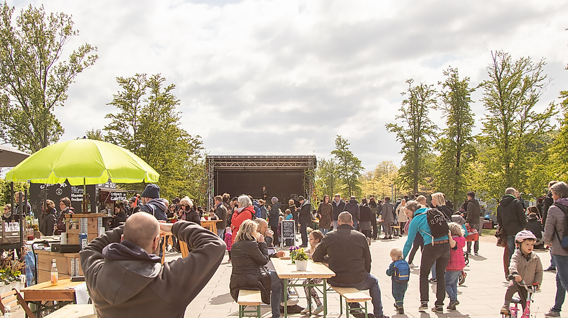 Frühlingserwachen Titelbild Marlene Hoberger