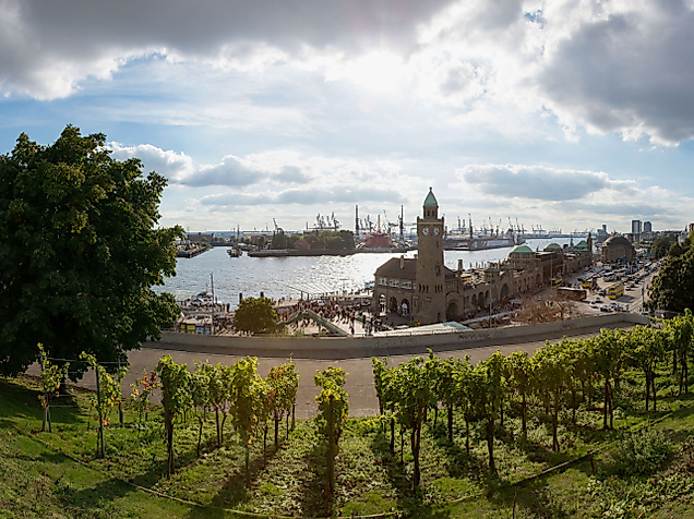 weinberg-landungsbruecken_c-2015-andreas-vallbracht