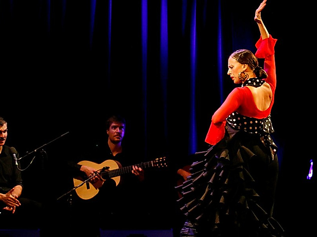 Flamenco Puro