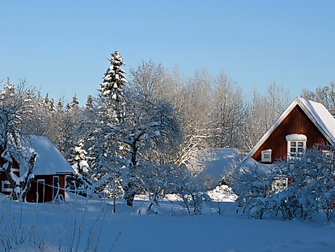 3. Sonntag nach Epiphanias