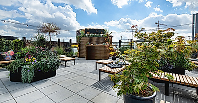 Roof garden Moon46