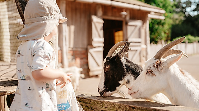 Hofführung auf Hof Klostersee