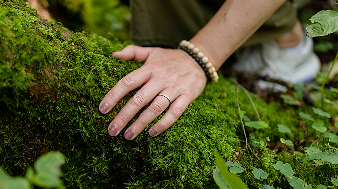 Entschleunigung, Nervensystemregulation und Regeneration  im Wald erleben bei einer grünen Auszeit in Hamburg und Schleswig-Holstein.