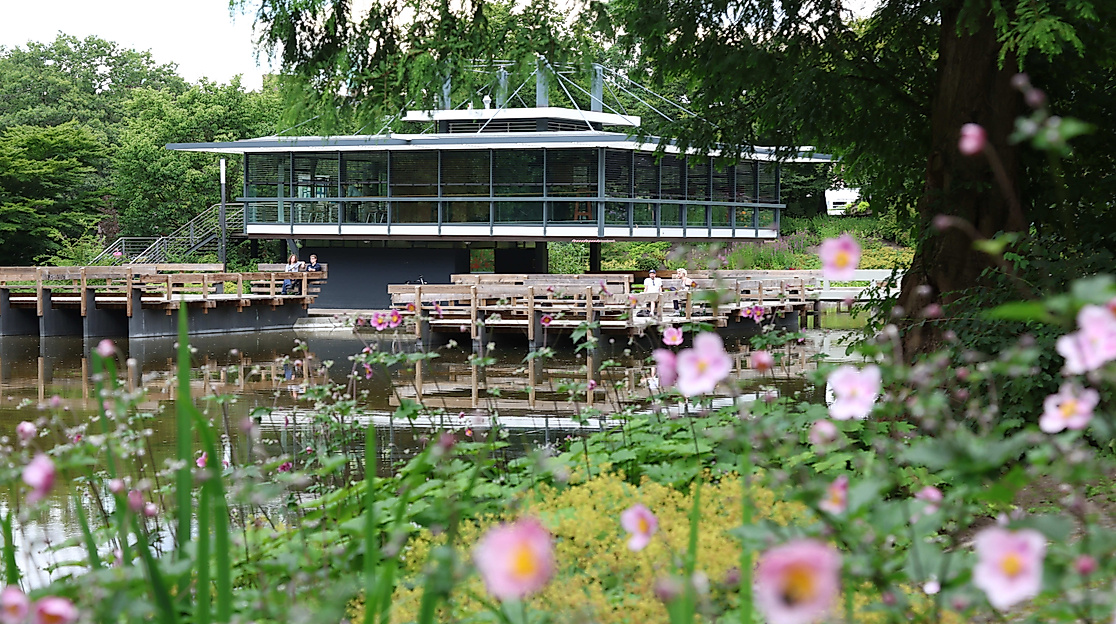 Das japanische Teehaus in Planten un Blomen