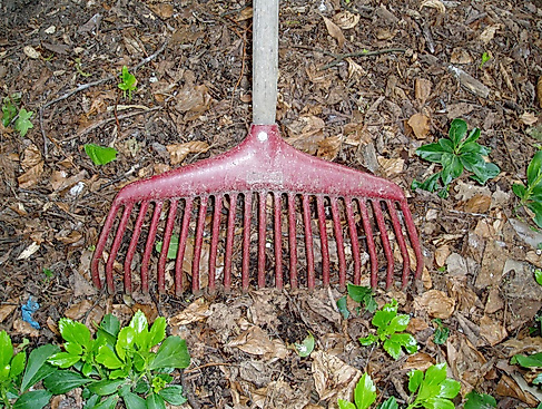 Harke - Gartenpflege  im Herbst