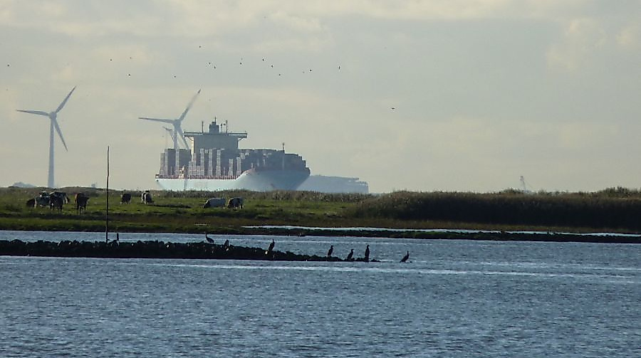Mit dem Börteboot zum Osteriff
