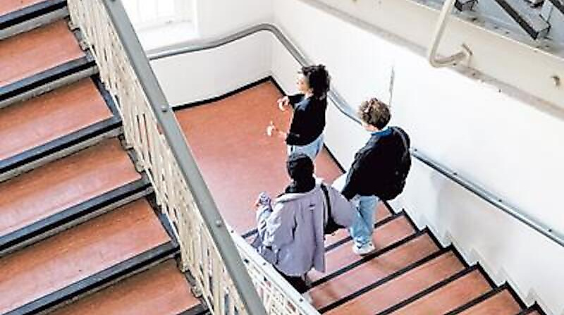 Guided Tours