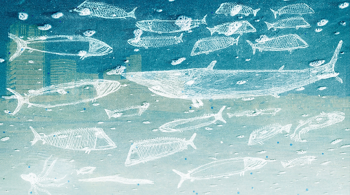 fishlarp-visual