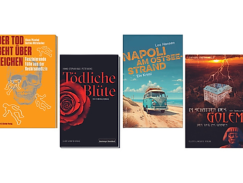 Plakat_Ankündigung_Krimiabend_Zeise_Querformat