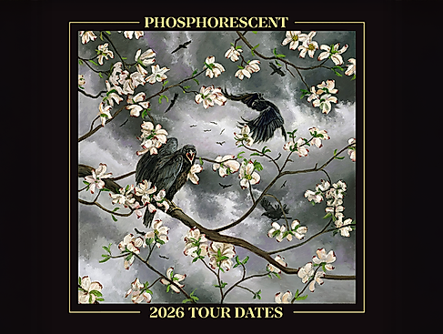 Phosphorescent