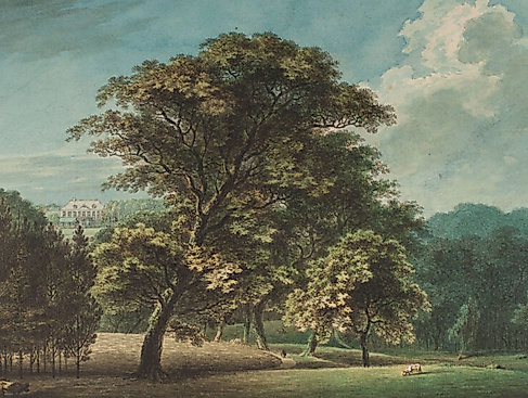 Foto-Workshop: Der Park