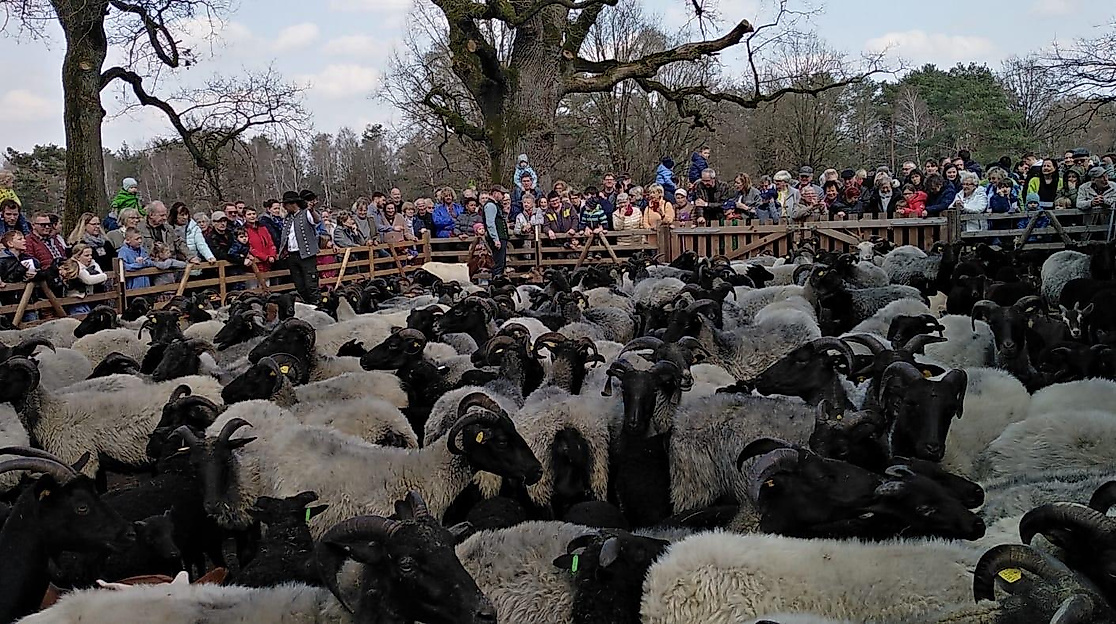 Großes tierisches Osterquiz