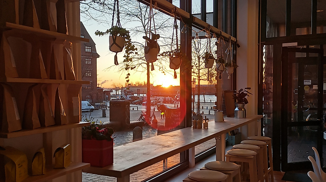 The Special Connection