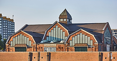 #seeforfree am Reformationstag in Hamburg