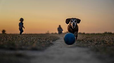 photo_2025-10-13_23-31-28