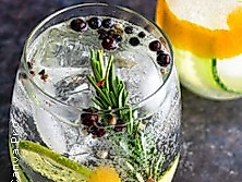 Gin Tasting: Schottland