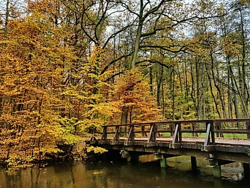 Wanderung zu den historische Stätten an der Wipperau bei Oldenstadt