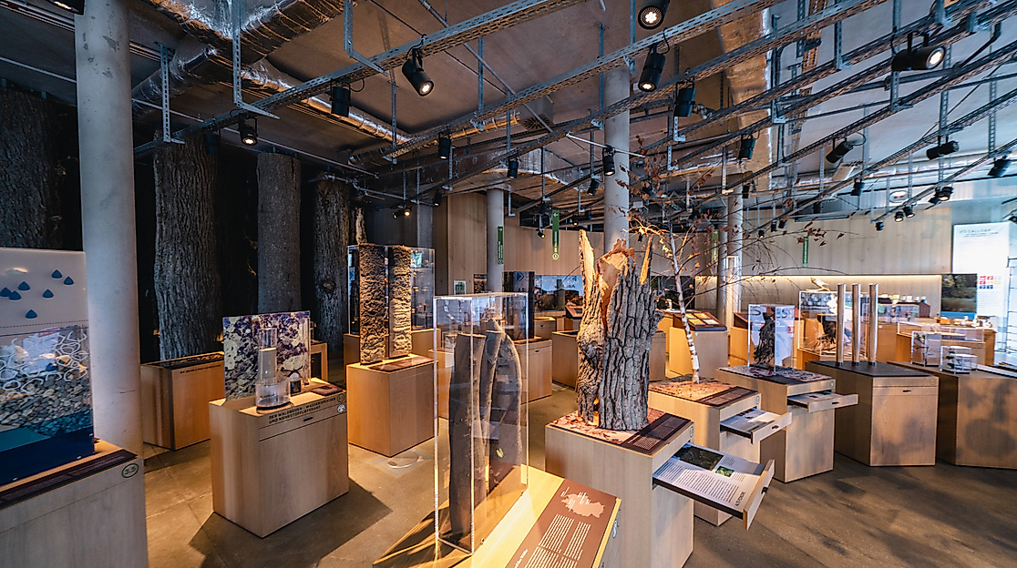 Science Center im Wälderhaus