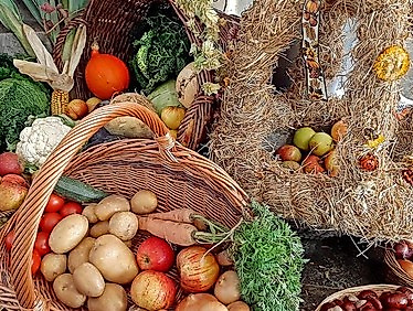 Erntedankgottesdienst für alle Generationen
