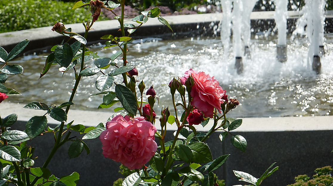 Blick auf den Brunnen