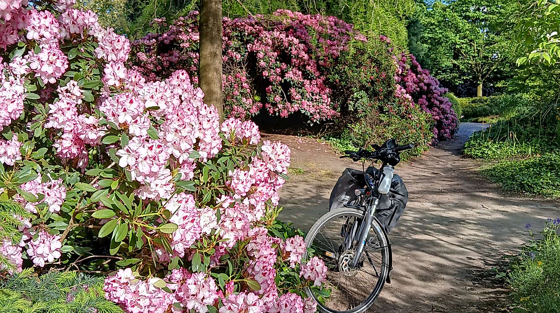 parkundblumen
