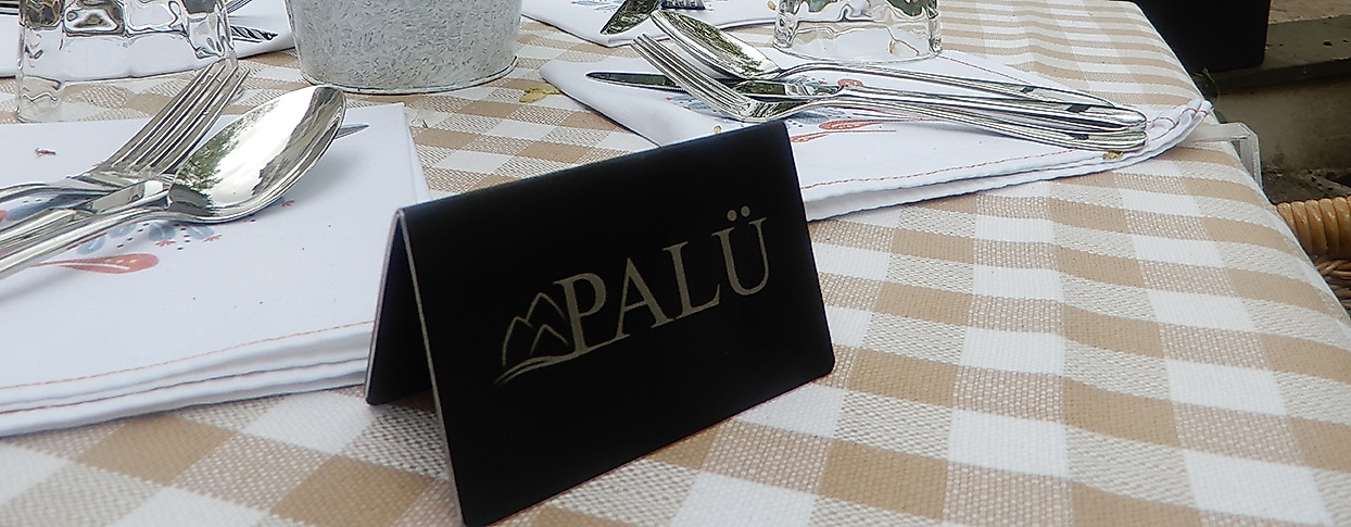 Palü