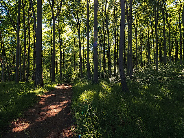 hahnheide-trittau-routen-station-c-unsplash-matthias-pens