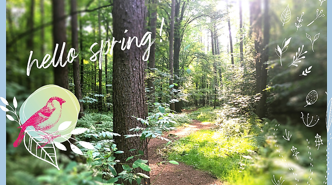 Waldbaden & Waldtherapie Hamburg - Waldimpuls-Hamburg