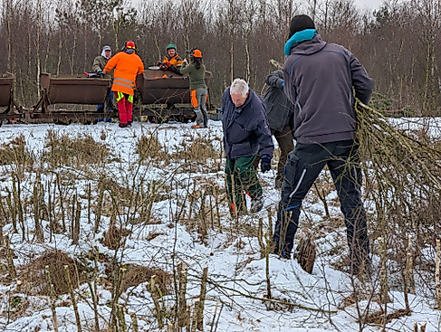 Helfer mit Reisig im Moor