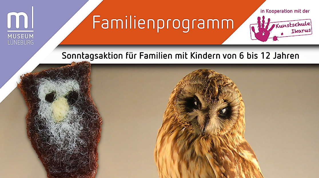 Familiensonntag im Museum Lüneburg: Eulen