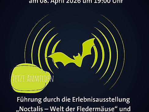 Führung und Nachtwanderung