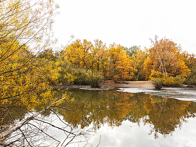 lee_maas_timo_sommer_hamburger_norden_eppendorfer_moor_3000px_argb_338