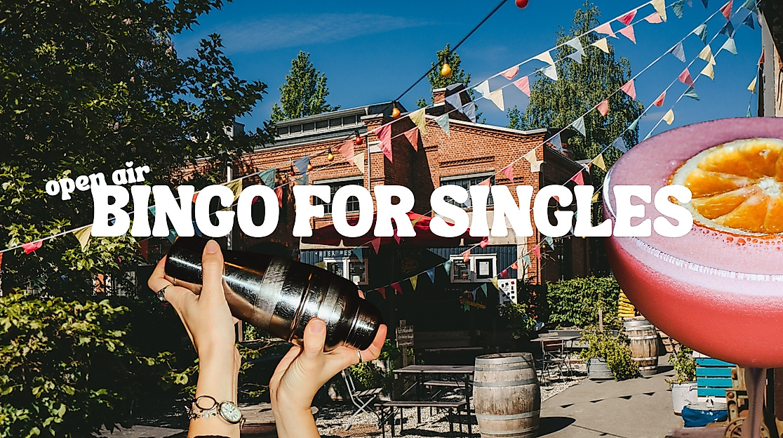 bingo-for-singles