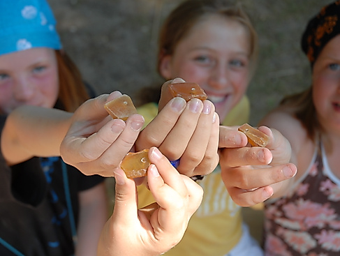 bernsteinschleifen-cr-sonja-everskemper