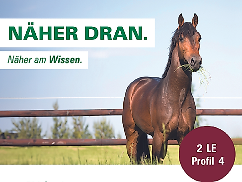 Der Alltag eines Deckhengstes - ein Blick hinter die Kulissen