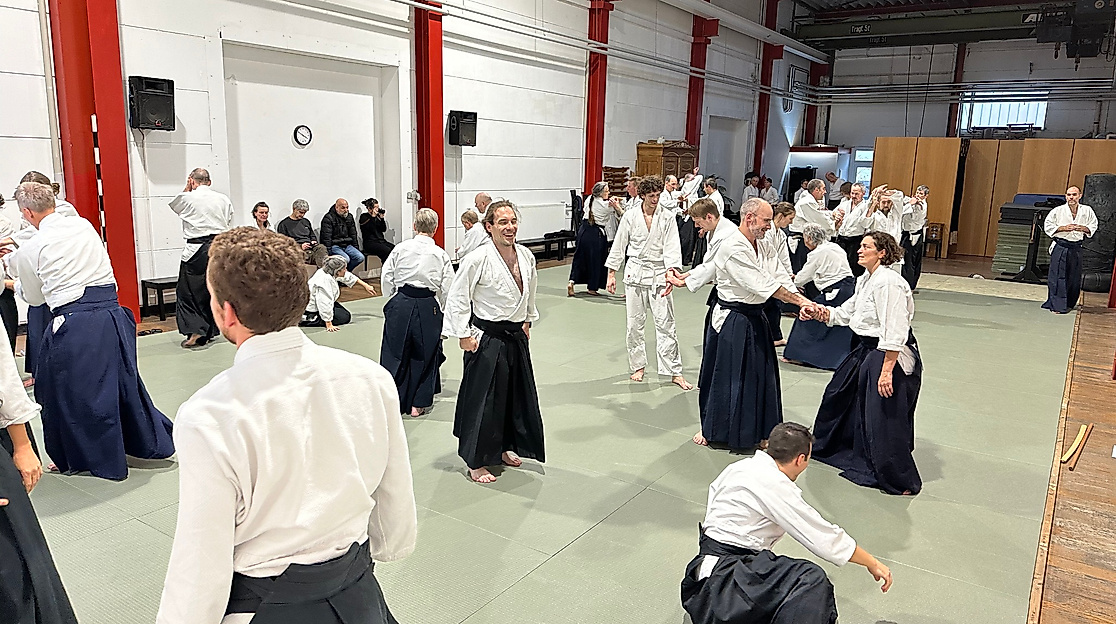 Aikido-Unterrichtsstunde