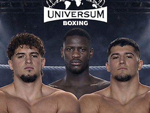 Hauptkämpfe: Ismet Ademi und Endrit Ademi