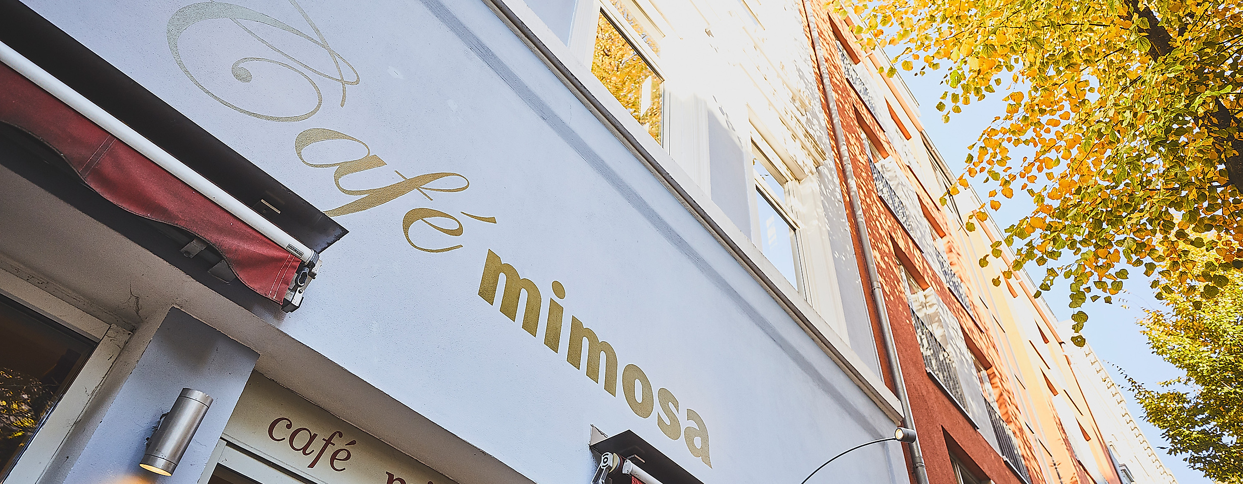 cafe-mimosa_c-2018-thisisjulia-photography-1