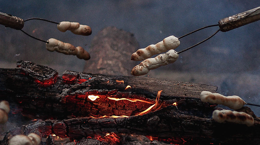 wilkenshoff-tannenbaum-schlagen-lagerfeuer-3