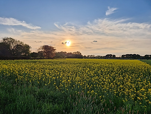 Spazierengehen gegen Einsamkeit
