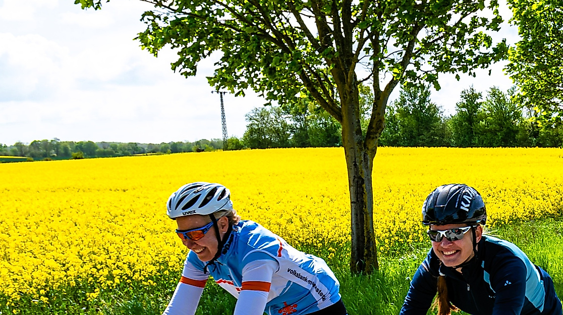 Ab März beginnt die Rapsblüte