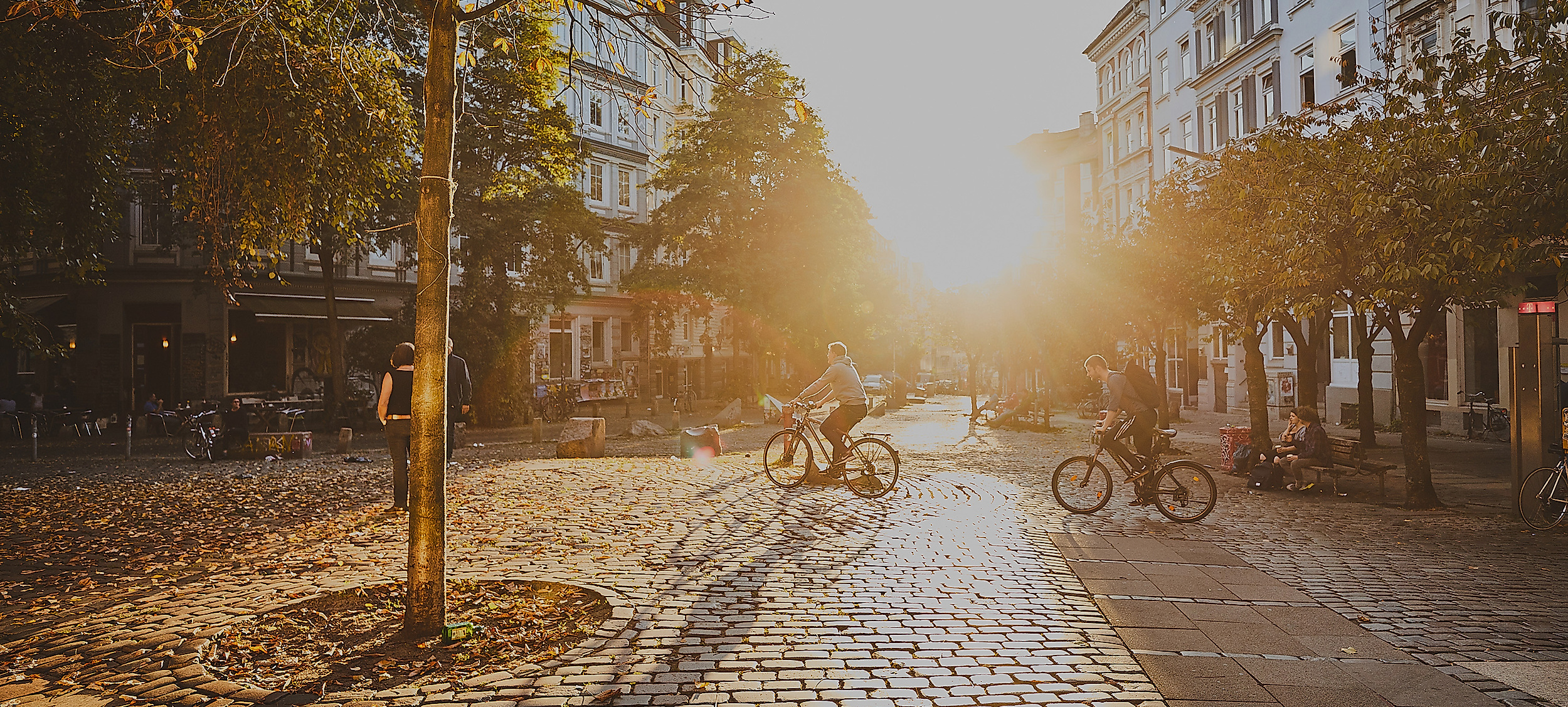 Hein-Köllisch-Platz in Hamburg bei Sonnenaufgang, mit Laubbäumen und Herbstlaub auf dem Pflaster