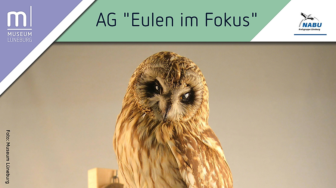 AG "Eulen im Fokus: Gemeinsam für den Artenschutz"