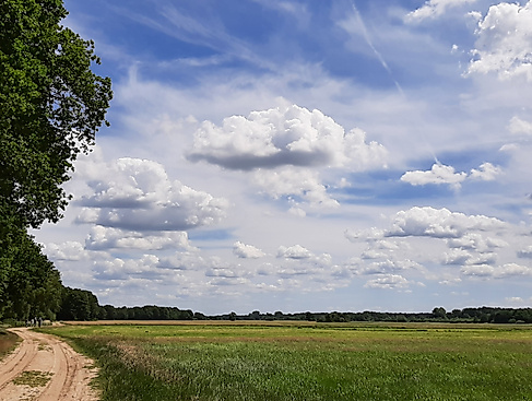 Der Weg