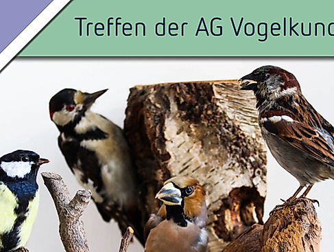 Treffen der AG Vogelkunde