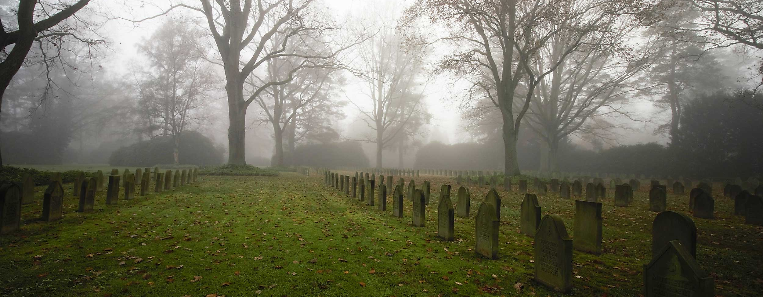 fahrradtour-ohlsdorfer-friedhof-c-unsplash-marek-studzinski