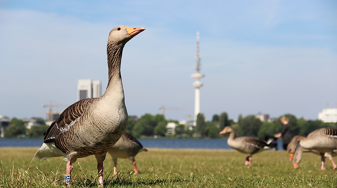 Vorträge (Standard)