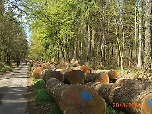 Geführte Fahrradtour mit der Urlaubsregion Ebstorf e.V.